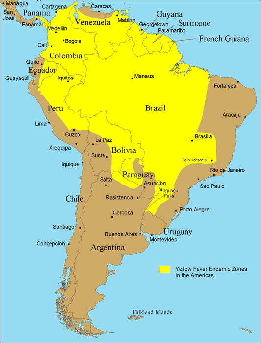 Mapa da região com incidência de febre amarela na América do Sul